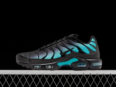 Nike Air Max TN 6