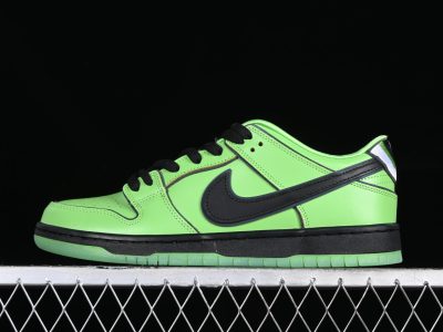 Nike SB Dunk Low 17