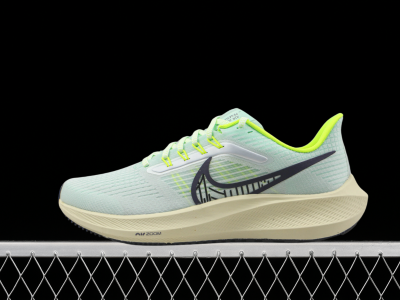 Tênis Nike Air Zoom Pegasus (2)